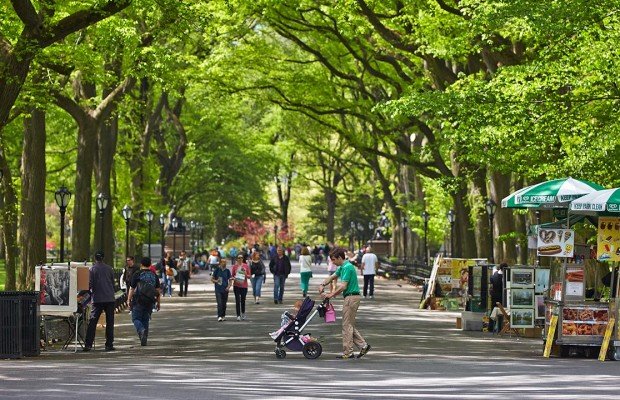 Central Park Tours New York