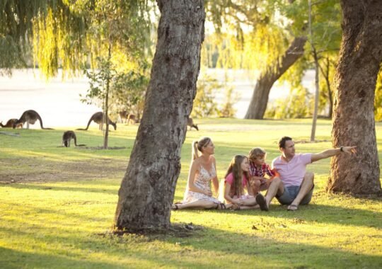 Yanchep National Park Tourist Attraction