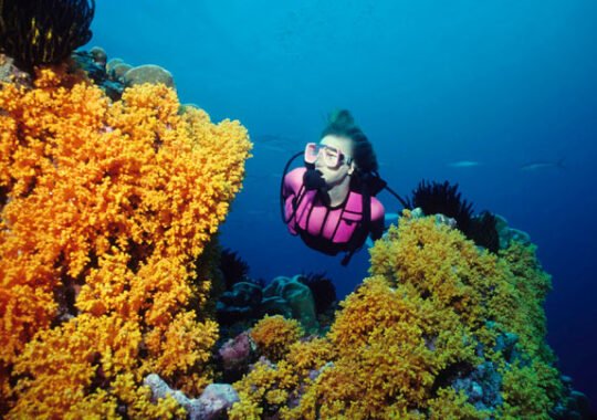 Enjoy Your Scuba Diving Holiday Safely